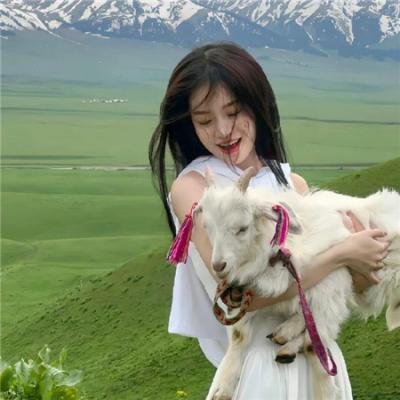 小蝌蚪找妈妈海报